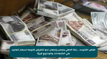 خفض الفائدة.. بنكا الأهلي ومصر يتجهان نحو تخفيض قائمة أسعار العائد على الشهادات والودائع قريبًا